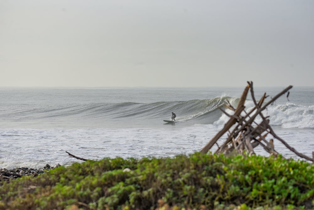 A lone surfer drops in and eyes a long, open wall at Surfers' Point.