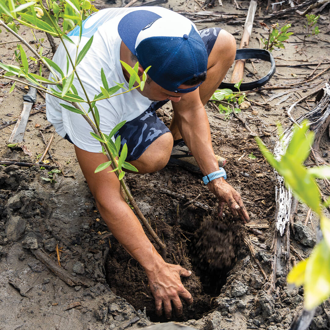 NBS_Mangrove-Planting